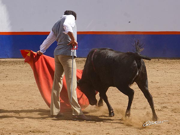 Relajada faena