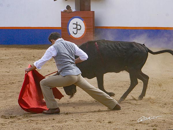 Ahormando a la negra