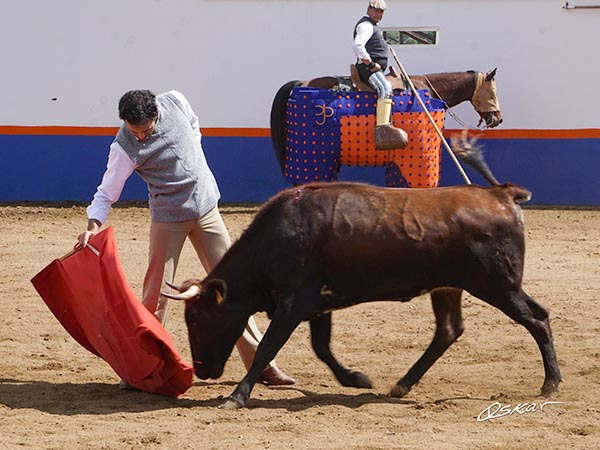 Probaturas por el derecho