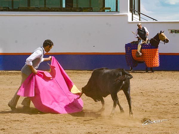 Lances de acomodo