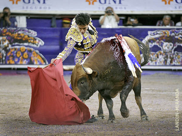 Entonado con el colorado