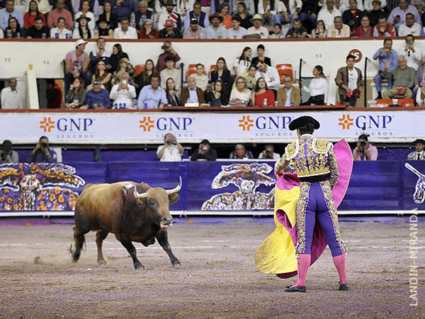 Jaleado en las zapopinas