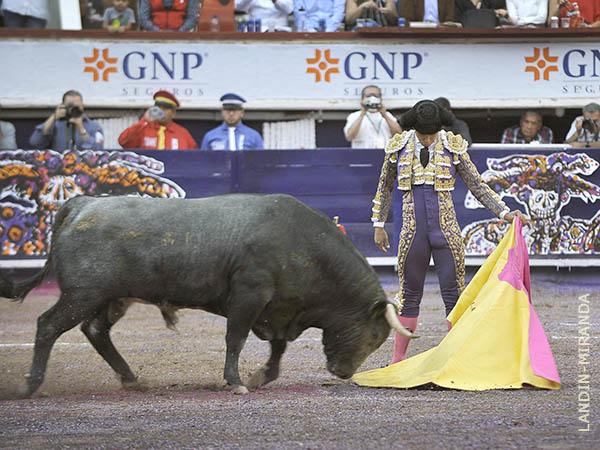 Leo, en torero