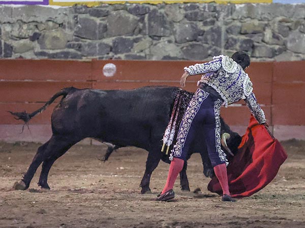 En el gusto de la aficin