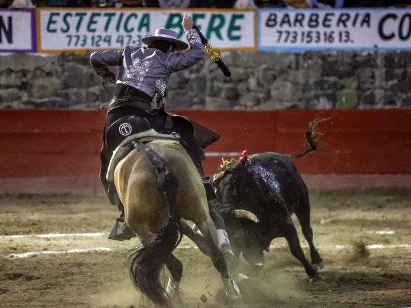 Lucida faena del caballista