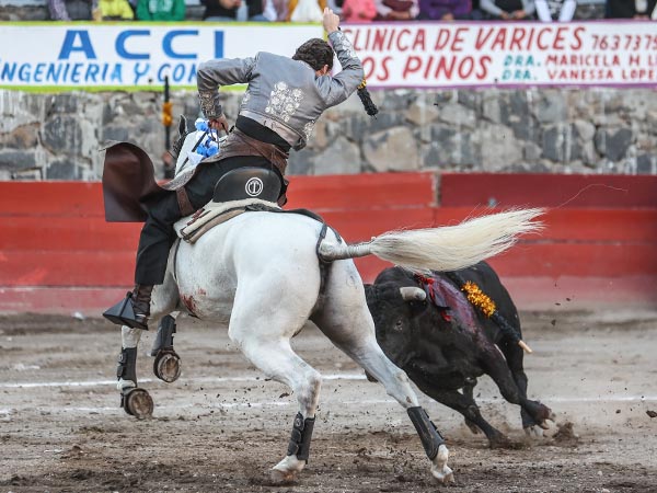 Larga en los medios