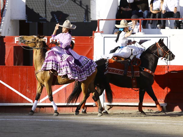 Adelitas leonesas