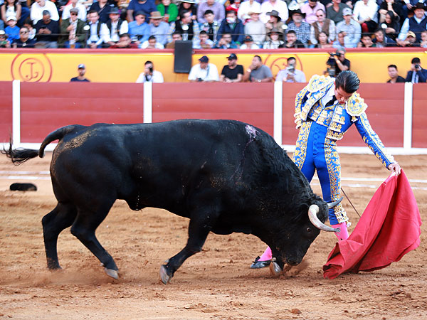 Tauromaquia madura