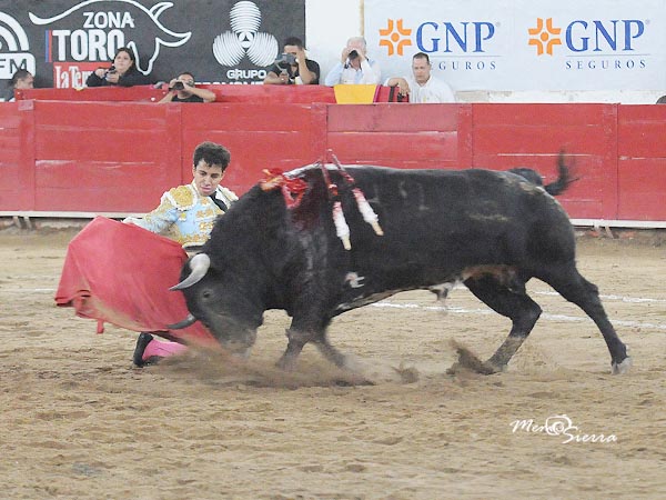 Leo con el octavo, de regalo