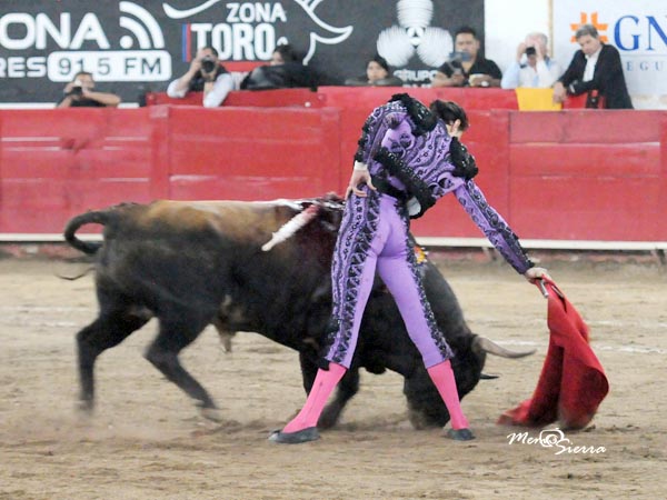 Bien plantado en la arena