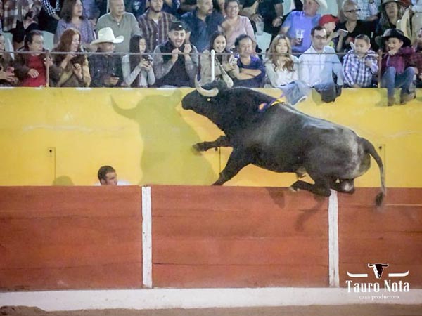 El cuarto decidi hacer salto