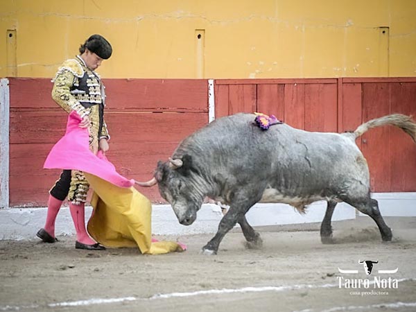 Manos bajas