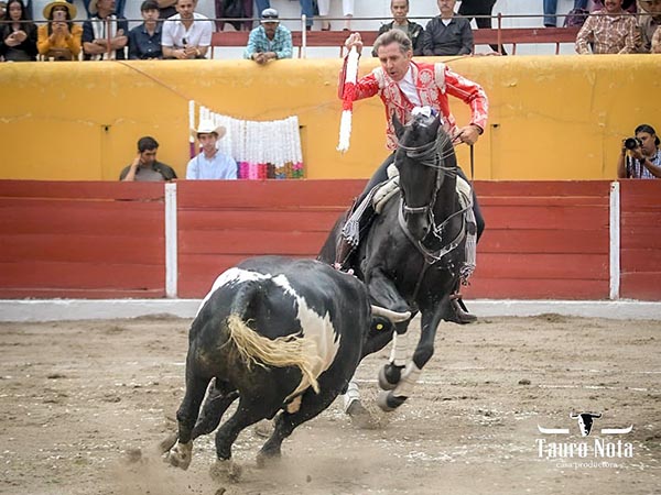 Larga, en los medios