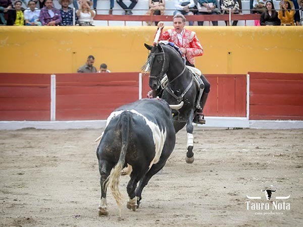 Al encuentro del berrendo