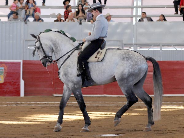 Guillermo Hermoso