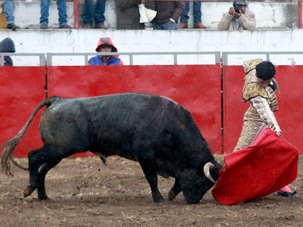 Palomo intensa faena al cierraplaza