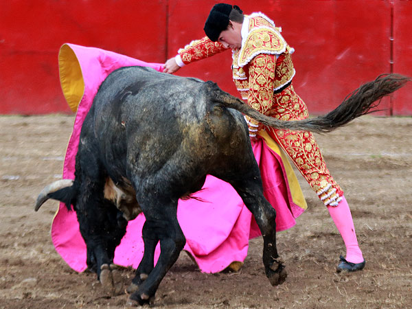 Cabrera dibujando la media