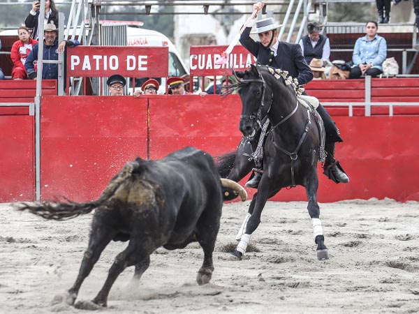 Al encuentro del jinete