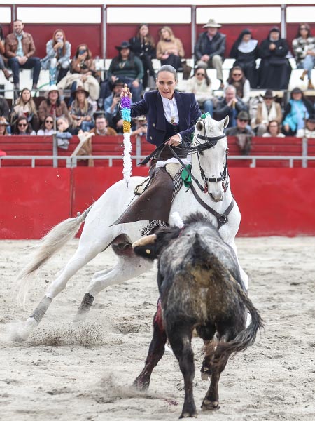 Tercio de banderillas