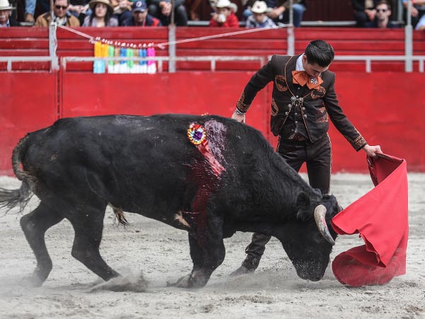 Jaleado en los naturales