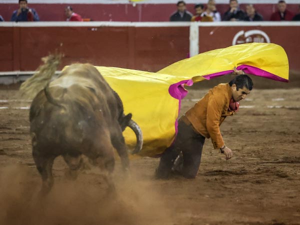 El vuelo del percal