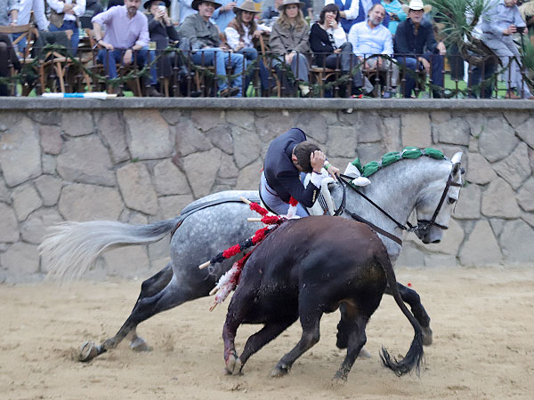 Telfono dejndose llegar al toro