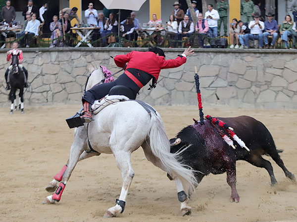 Bastida dejando una banderilla