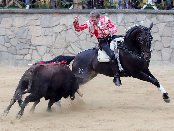 Un torero de poca