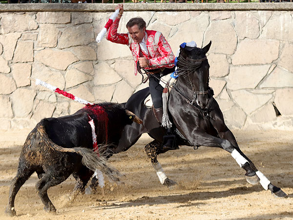 Gran toro de Rancho Seco