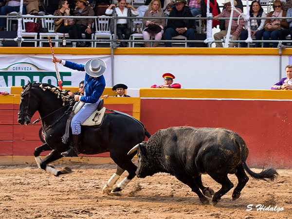 Heredero del trono