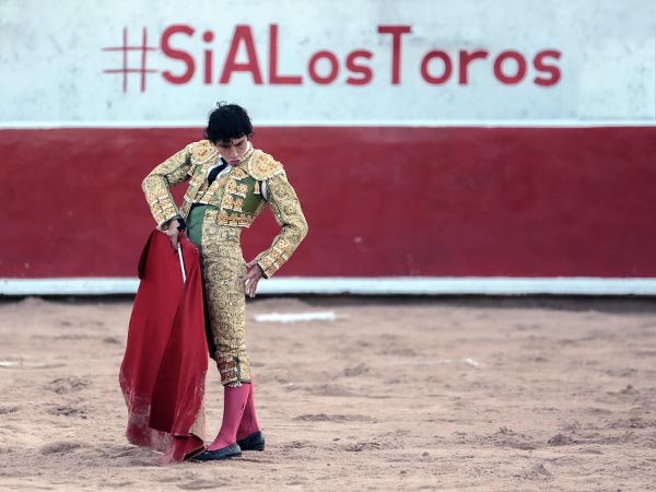 Si a los toros