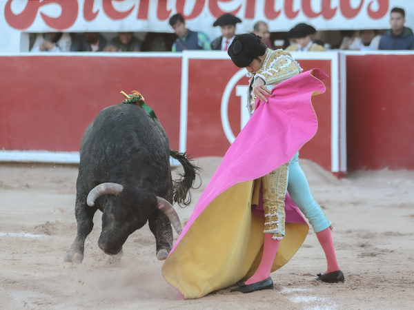 Sobre las rayas del tercio