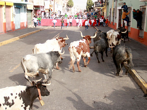 Llegando a la plaza