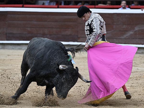 Abrochando el saludo