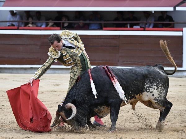 Los belfos en la arena