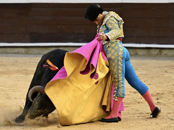 Torero de casa