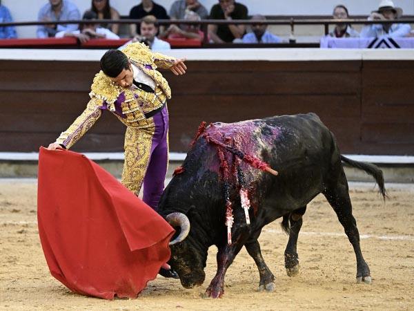 La faena de la tarde