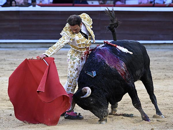 Extrovertido con el cuarto