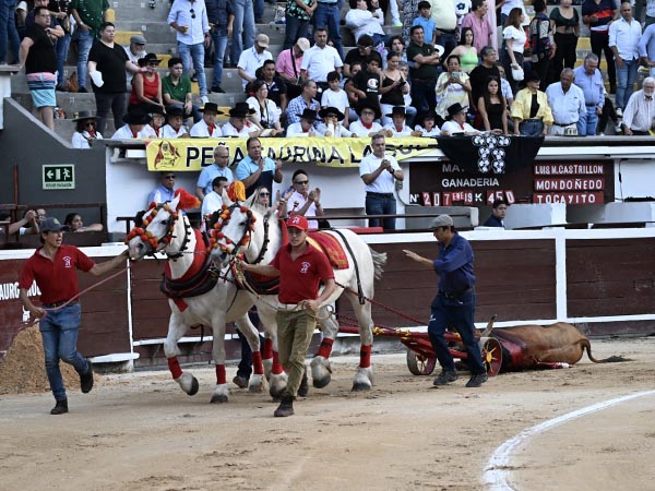 Homenaje a los despojos