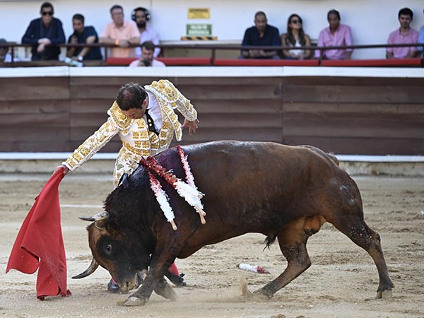 Largo por el pitn derecho