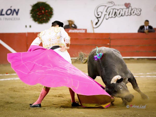 En torero