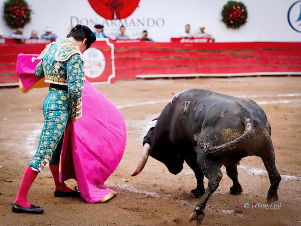 Saludo sobre las rayas