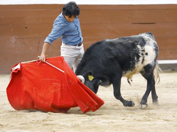 Emocin en el ruedo