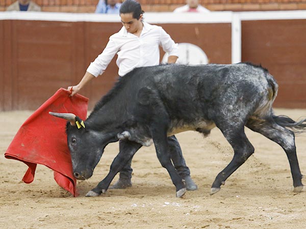 Templando al ejemplar