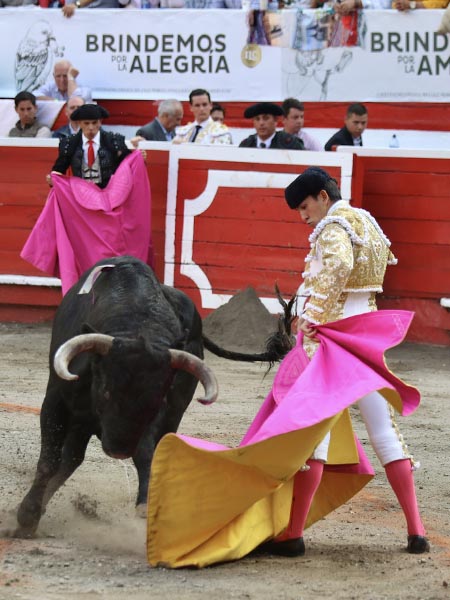 Torero remate