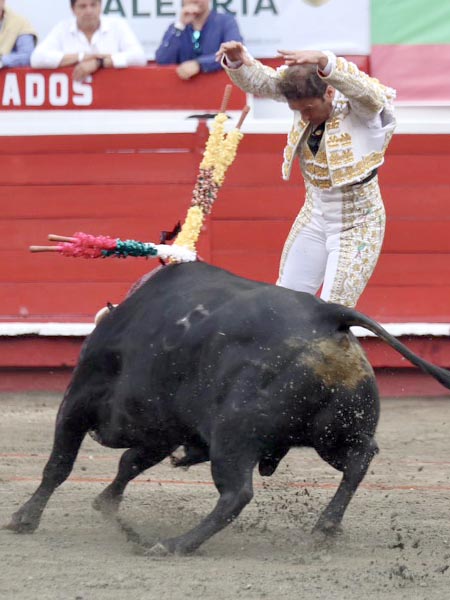 Maestro en los tres tercios