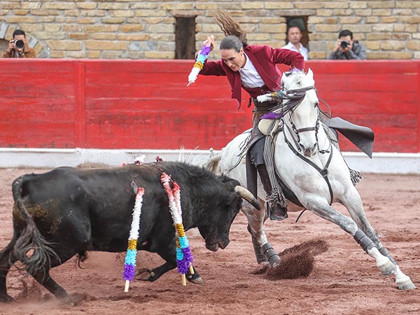 Lucida faena de una oreja