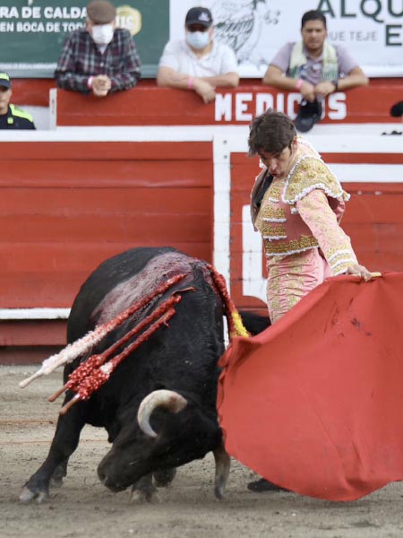 Humillado en la embestida