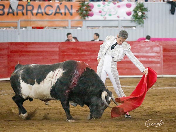 Tirando del astado