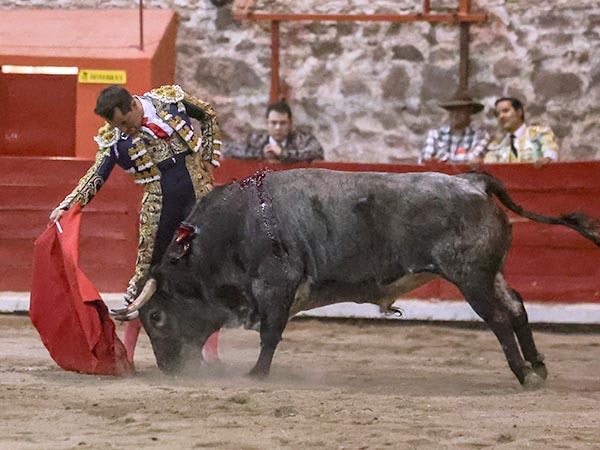 Reposo torero